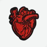 Patch Bordado Coração Realista Anatômico